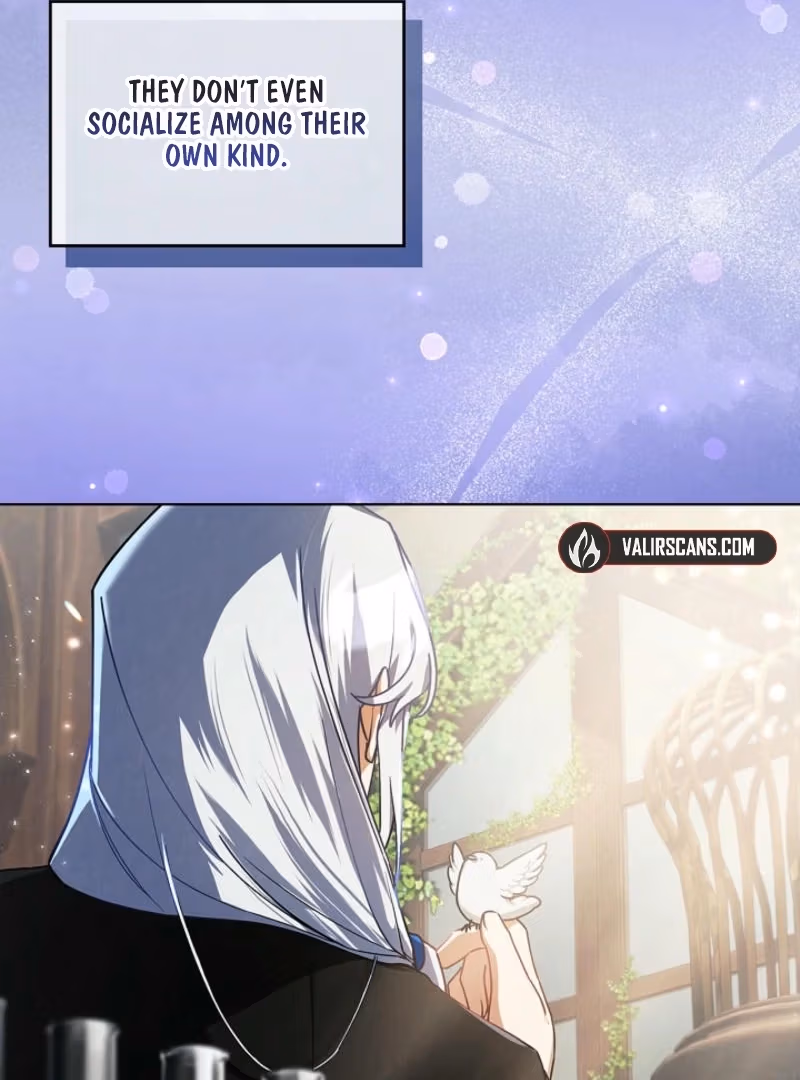 To the Witch Who Forgot Her Bird Chapter 2 page 118 - 