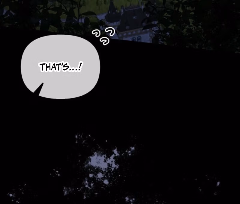 To the Witch Who Forgot Her Bird Chapter 2 page 200 - 