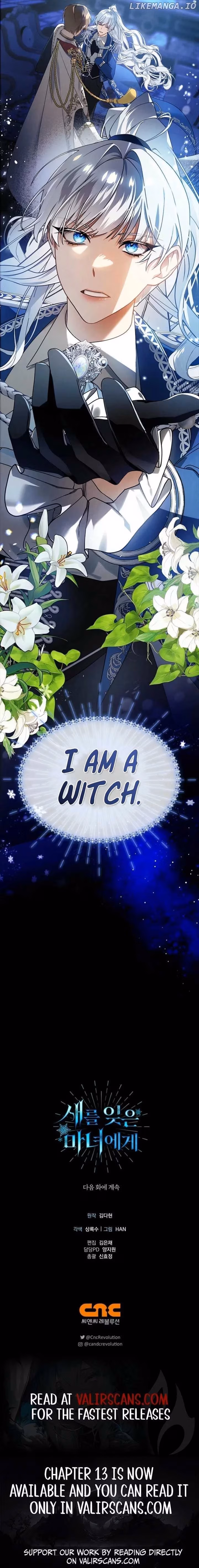 To the Witch Who Forgot Her Bird Chapter 3 page 26 - 