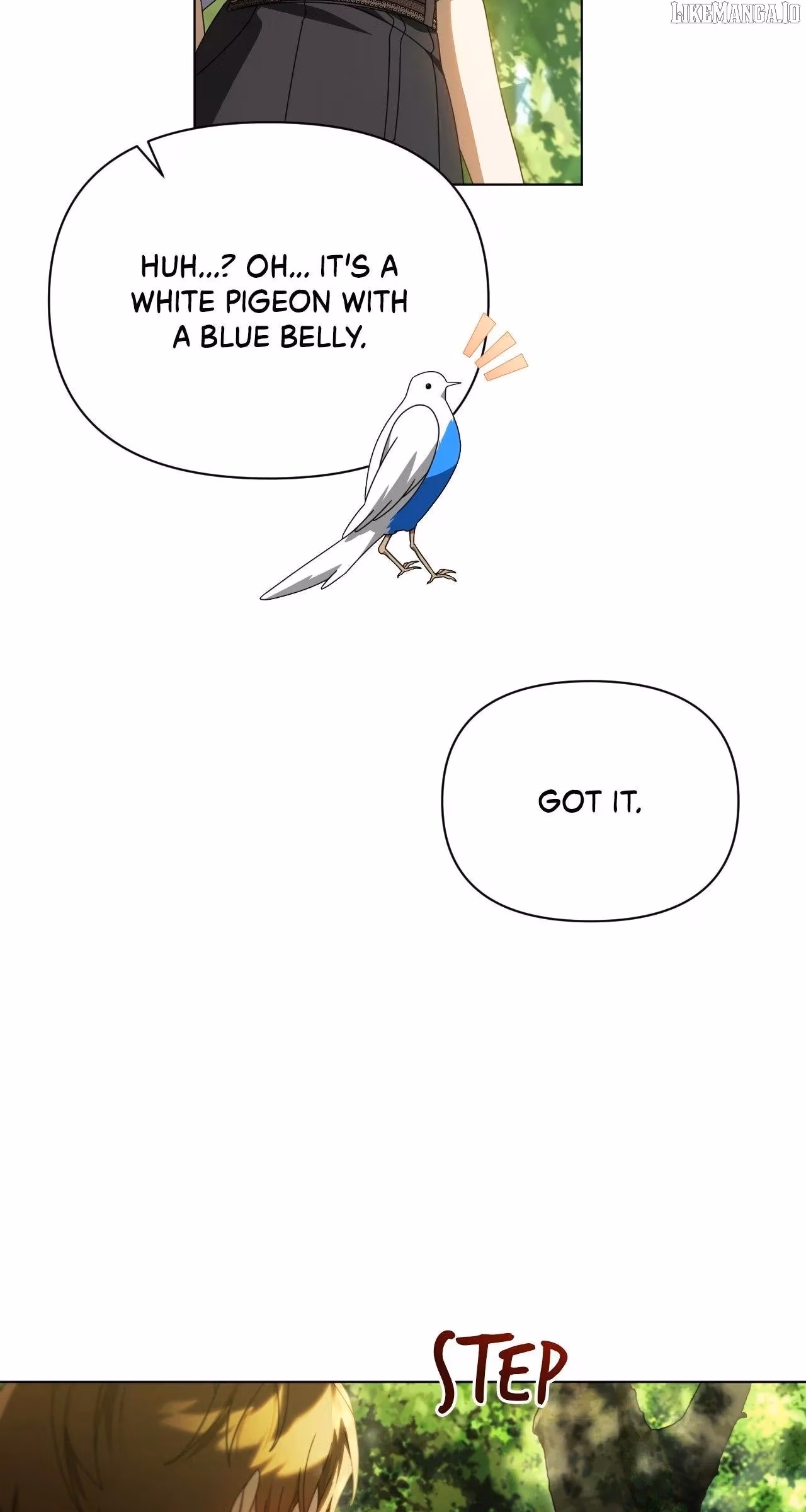 To the Witch Who Forgot Her Bird Chapter 34 page 71 - 