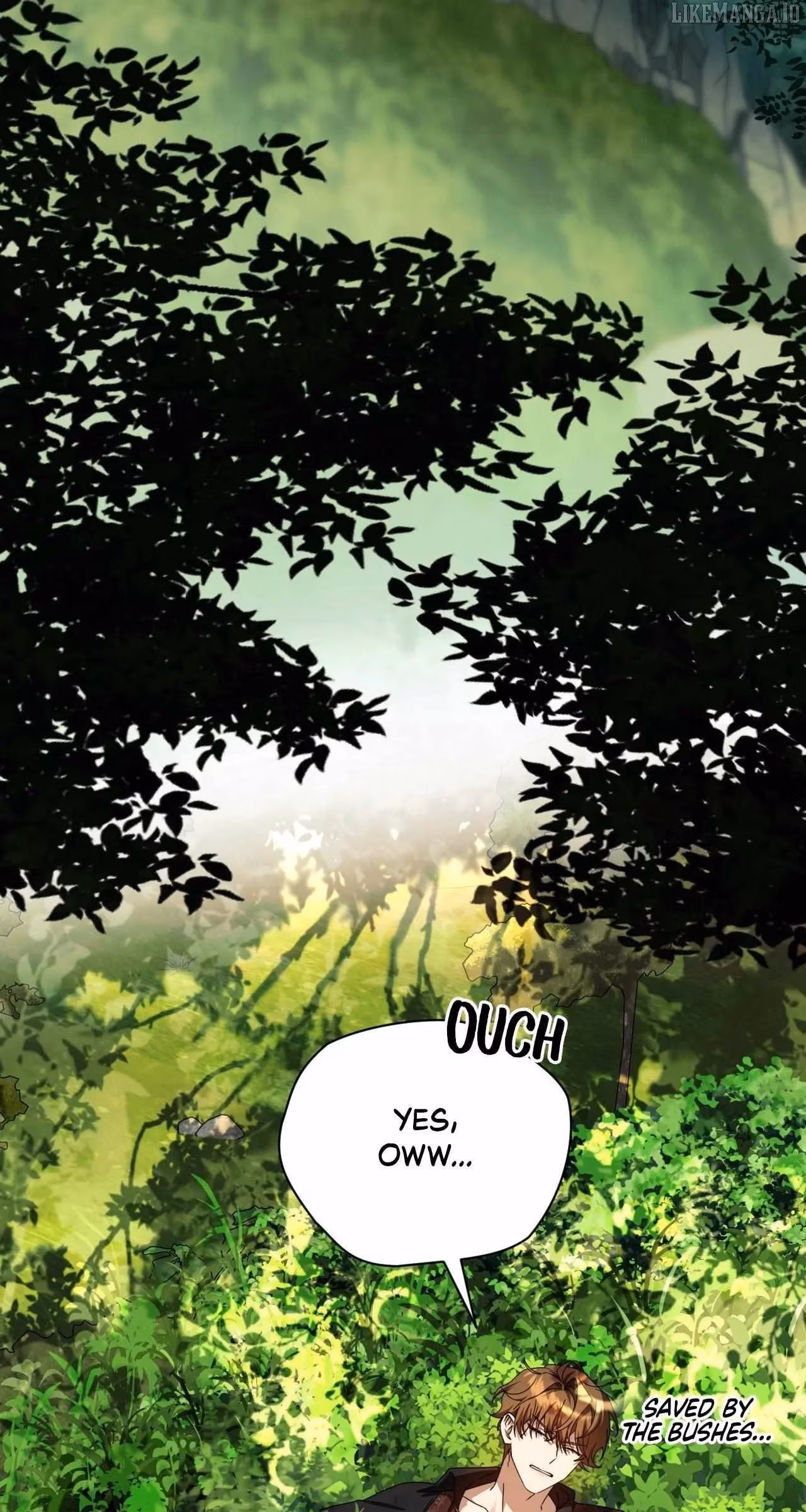 To the Witch Who Forgot Her Bird Chapter 35 page 13 - 
