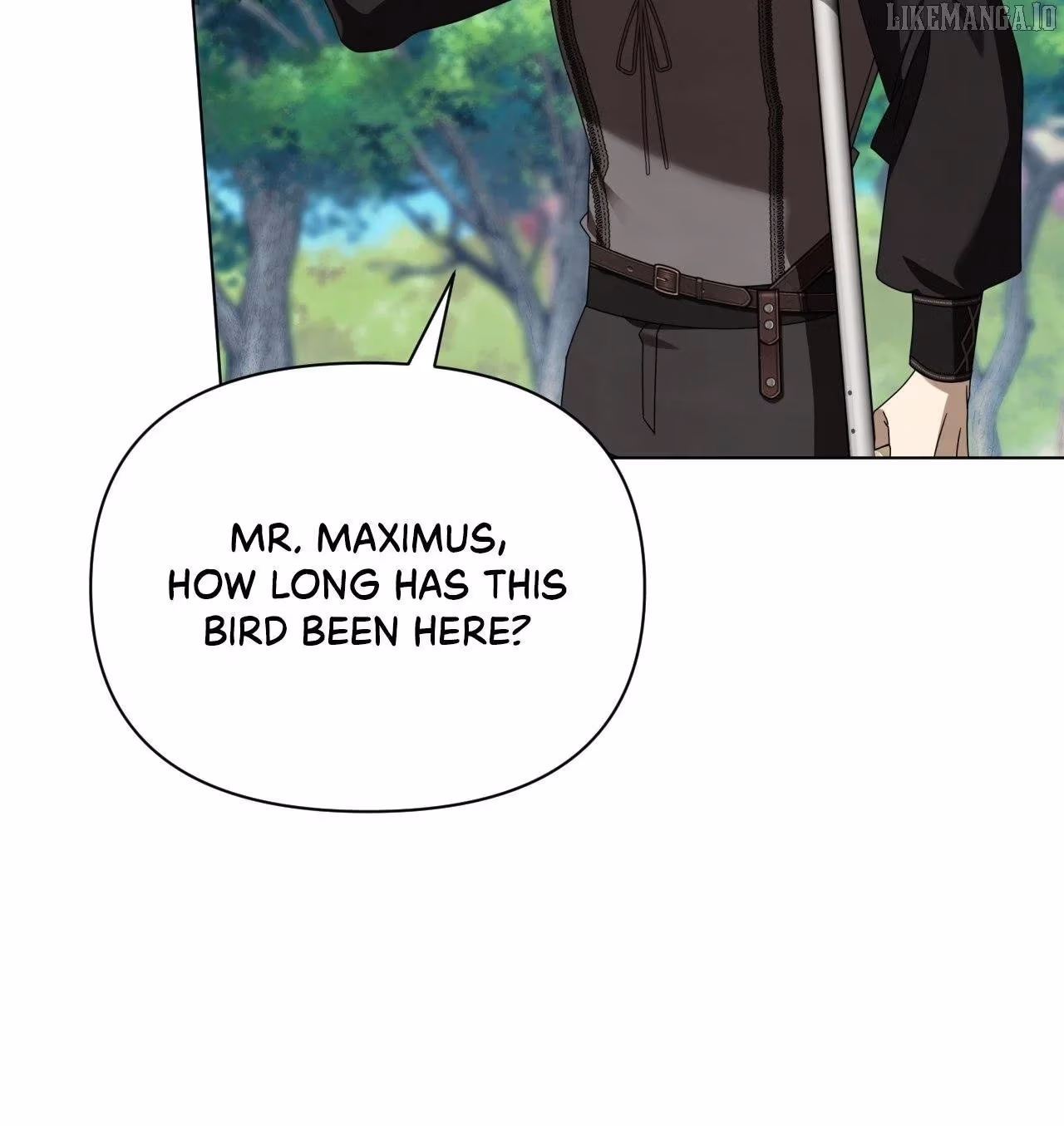 To the Witch Who Forgot Her Bird Chapter 38 page 13 - 