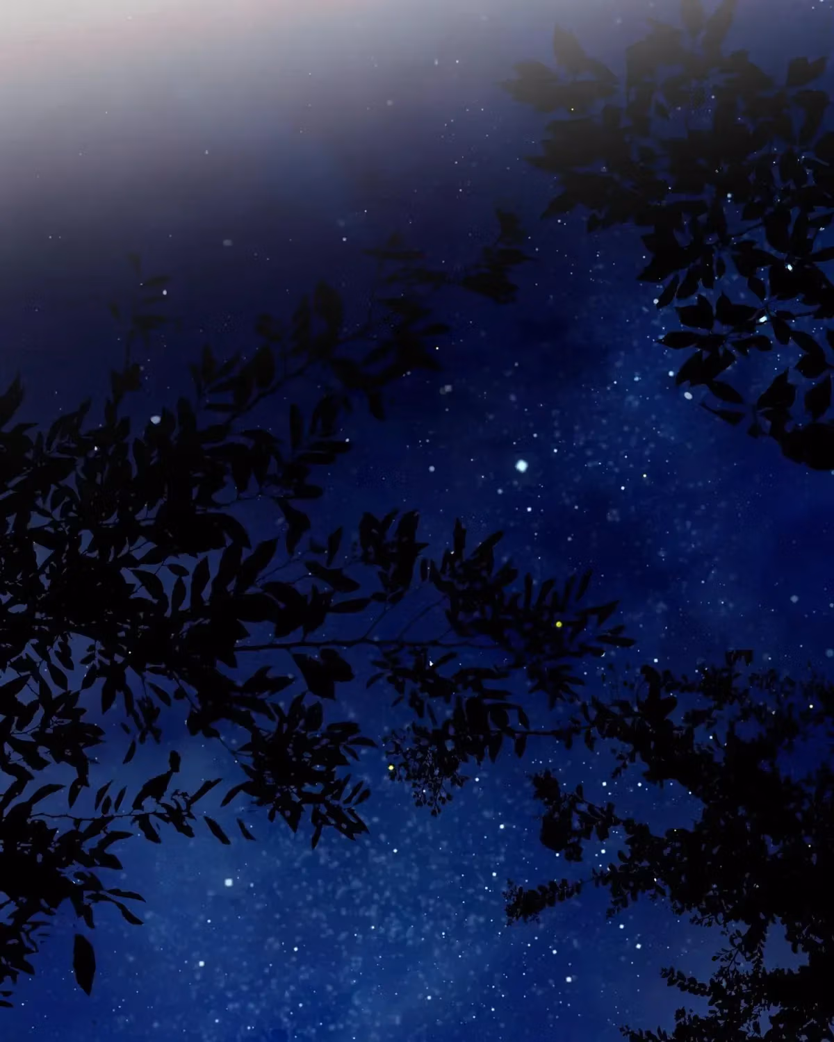 To the Witch Who Forgot Her Bird Chapter 47 page 200 - 