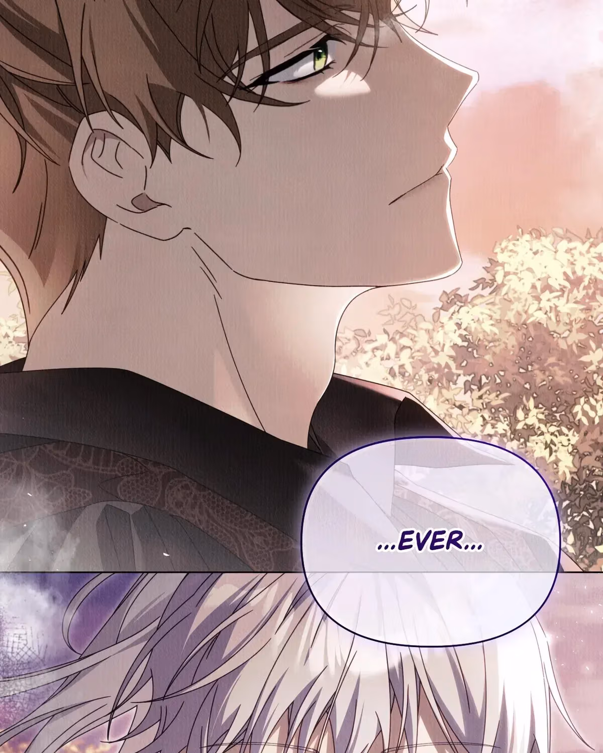 To the Witch Who Forgot Her Bird Chapter 48 page 190 - 