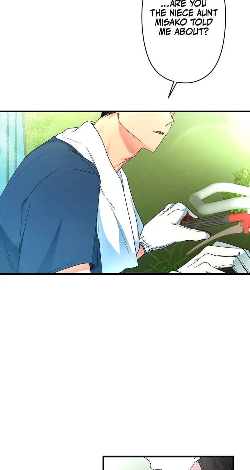 To You in Apricot Valley Chapter 1 page 49 - 