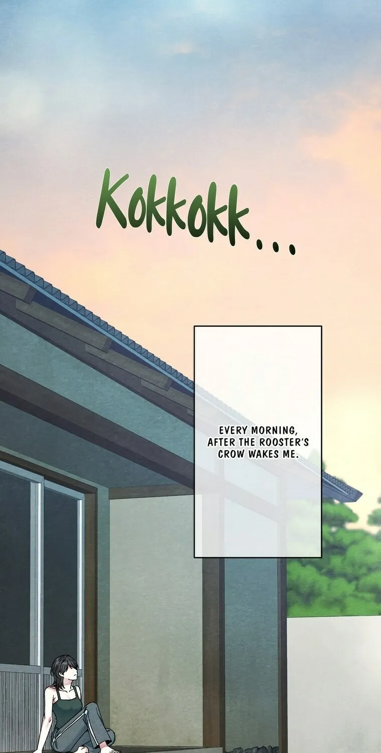 To You in Apricot Valley Chapter 3 page 12 - 