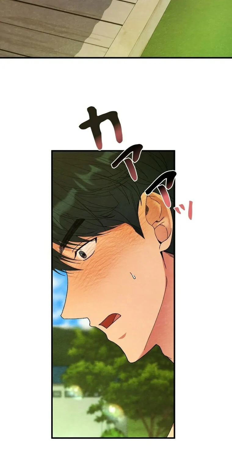 To You in Apricot Valley Chapter 3 page 3 - 