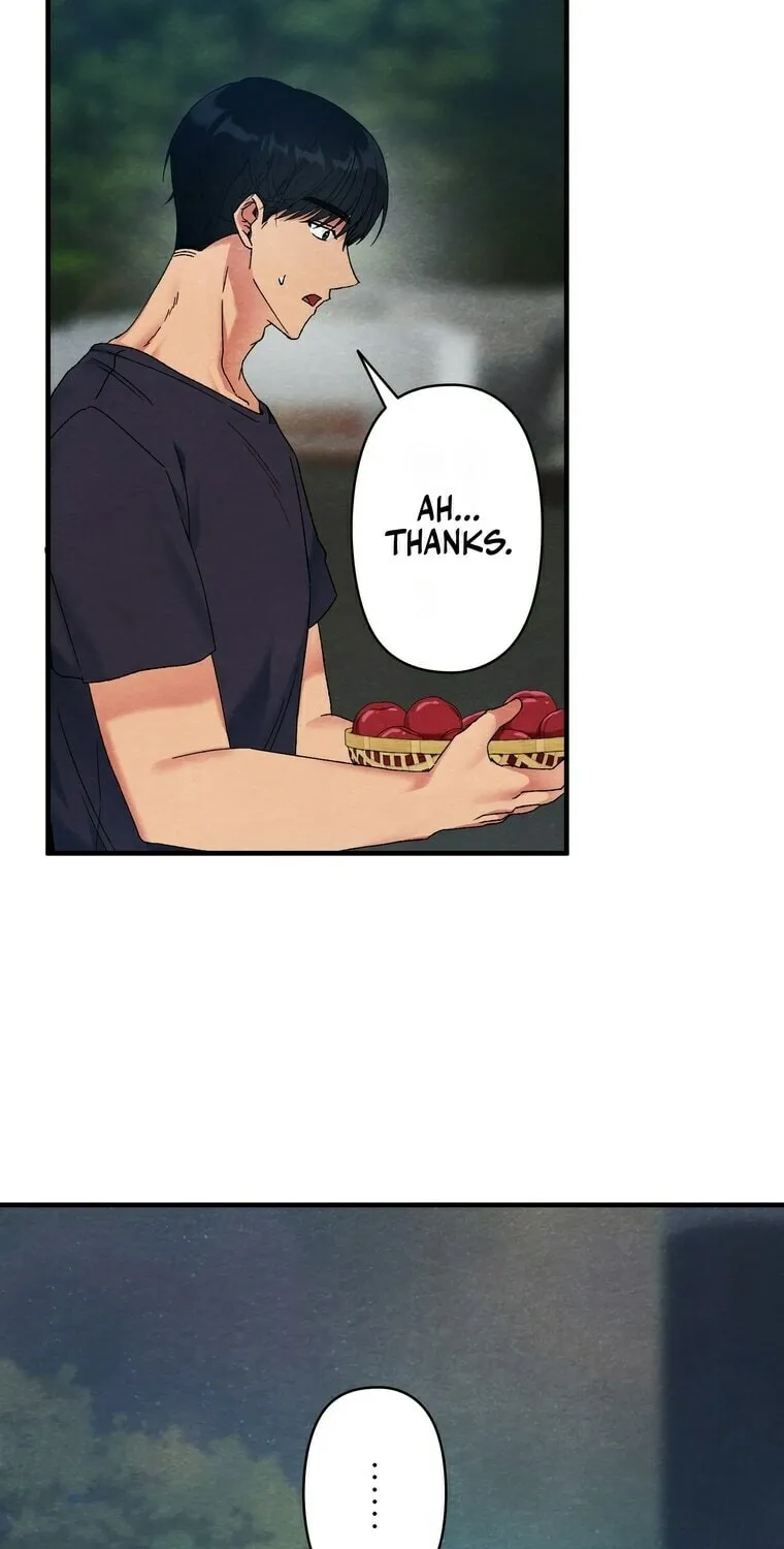 To You in Apricot Valley Chapter 4 page 45 - 