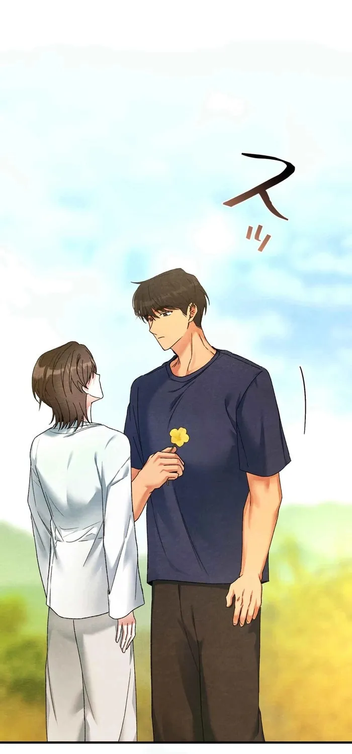 To You in Apricot Valley Chapter 8 page 24 - 