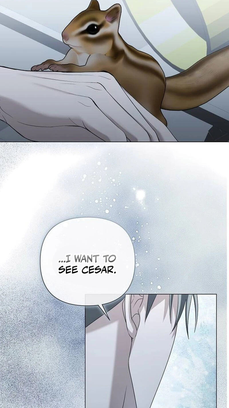 Too Late for Regrets Chapter 99 page 41 - 