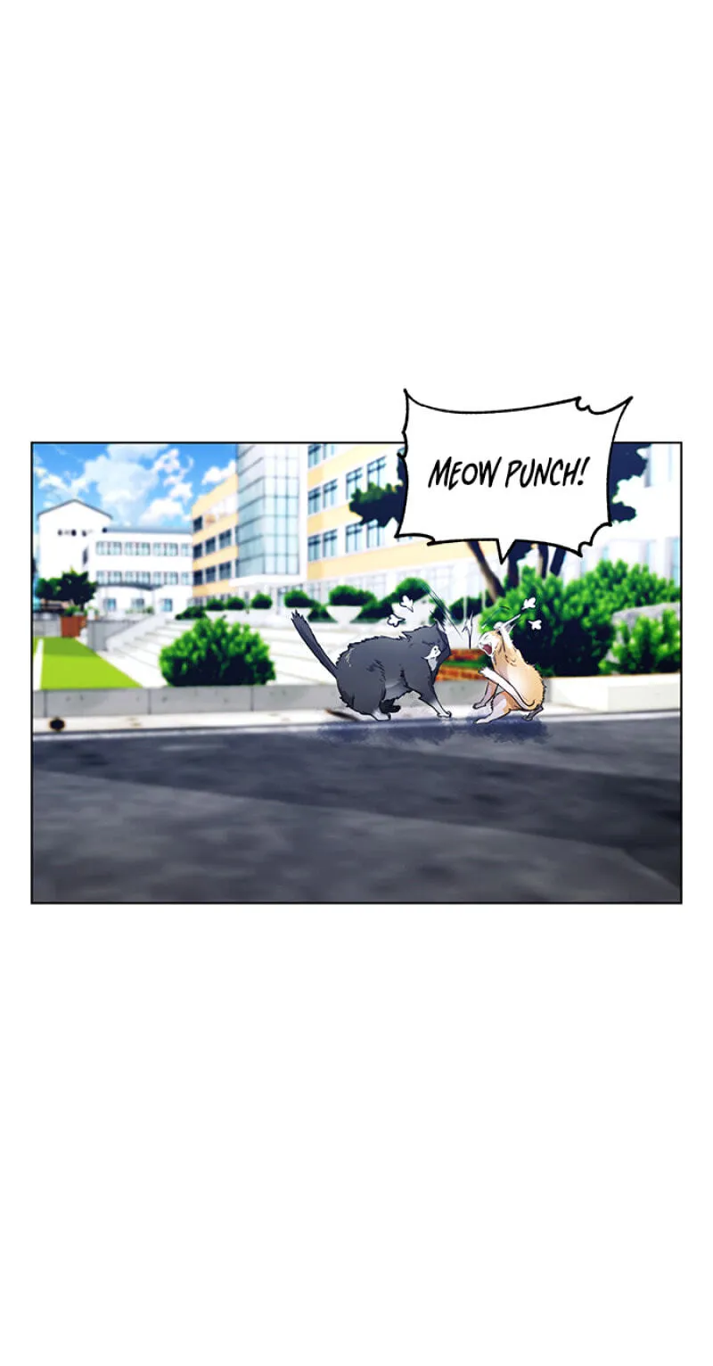 Top Corner Chapter 151 page 57 - 