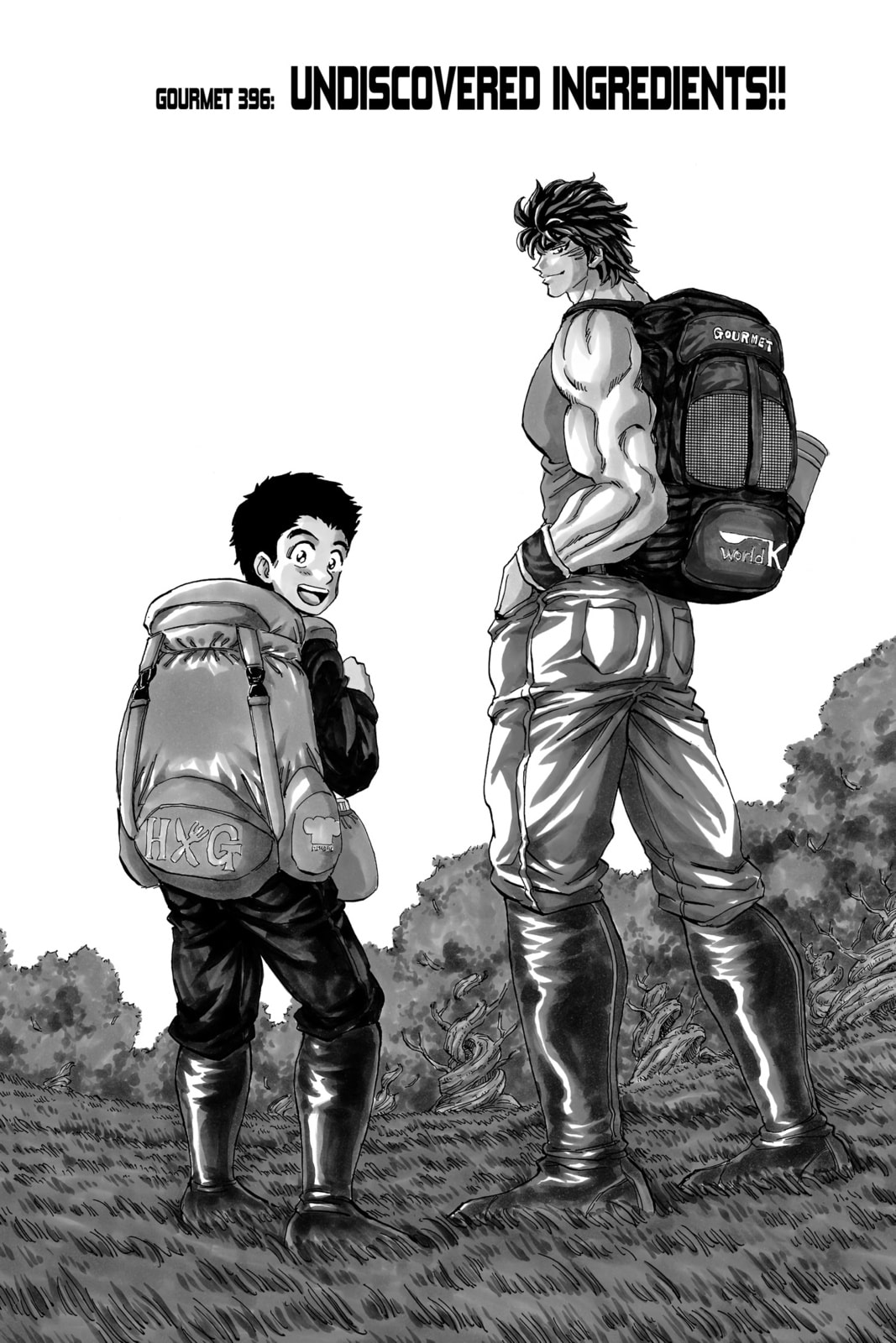 Toriko Chapter 396 page 2 - 