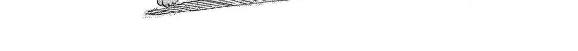 Toripan Chapter 610 page 2 - 