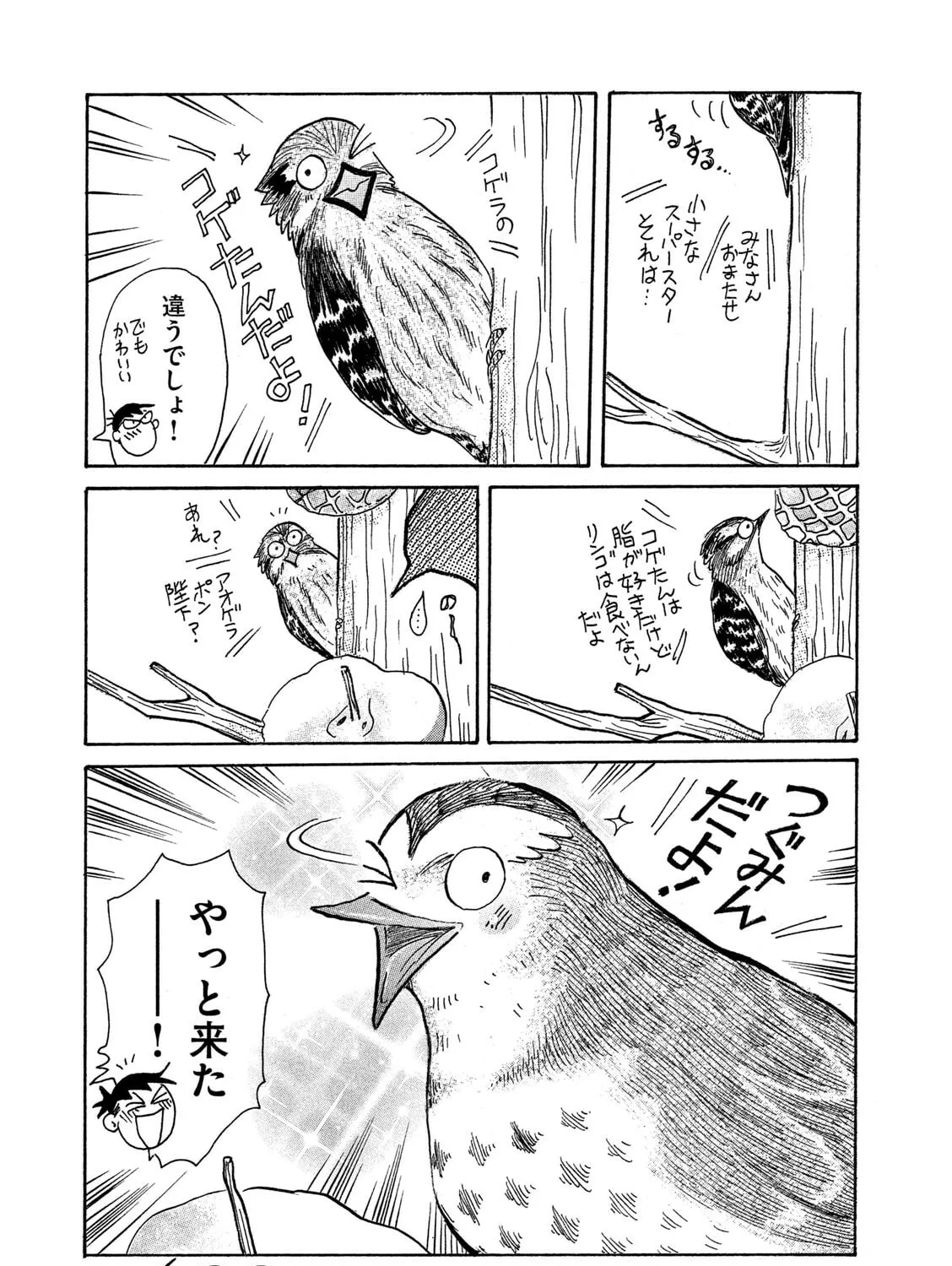 Toripan Chapter 623 page 1 - 