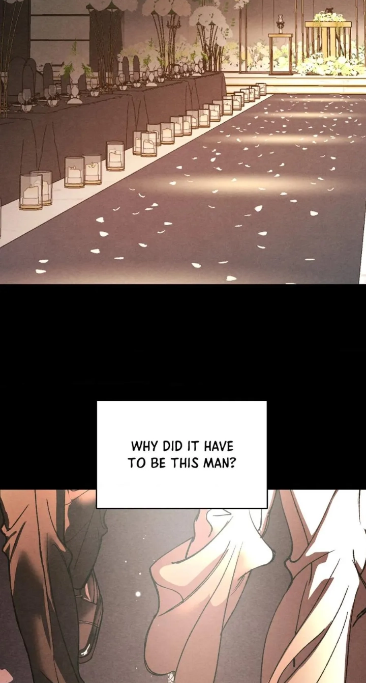 Toy Daddy Chapter 40 page 77 - 