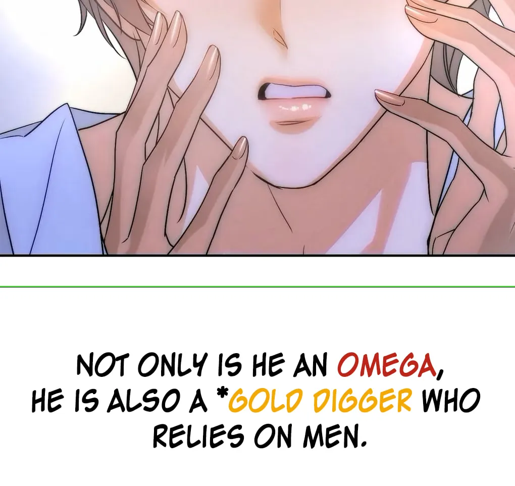 Transmigrated as the Alpha Boss' Golden Goose Chapter 0 page 5 - 