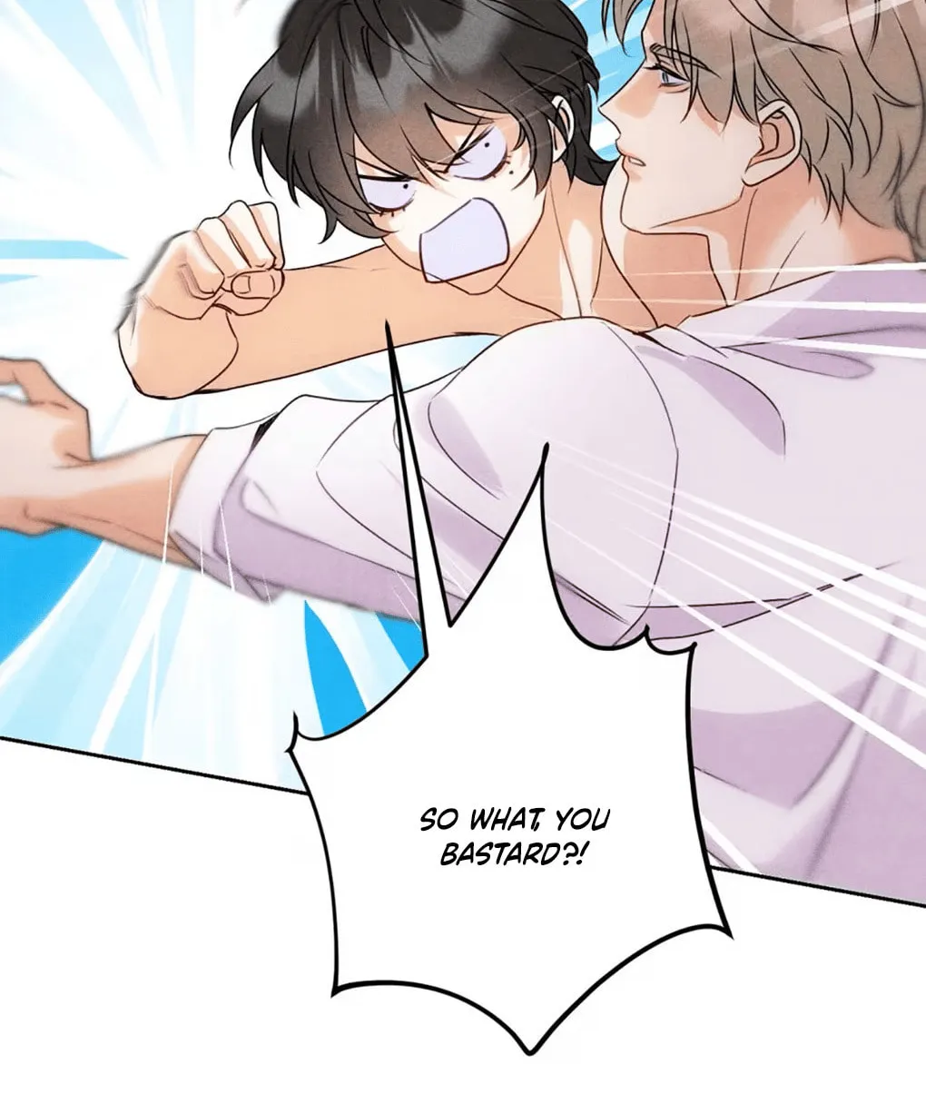 Transmigrated as the Alpha Boss' Golden Goose Chapter 4 page 19 - 
