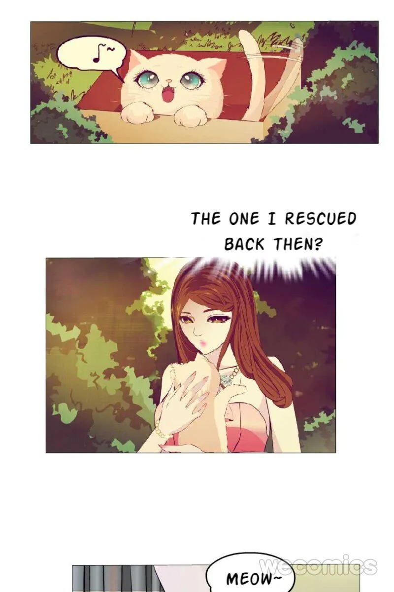 Trap of the Goddess Chapter 79 page 5 - 