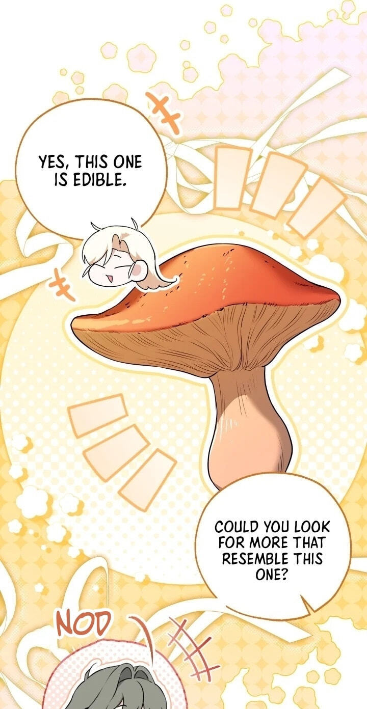 Trapped on a Remote Island With the Male Leads Chapter 50 page 12 - 