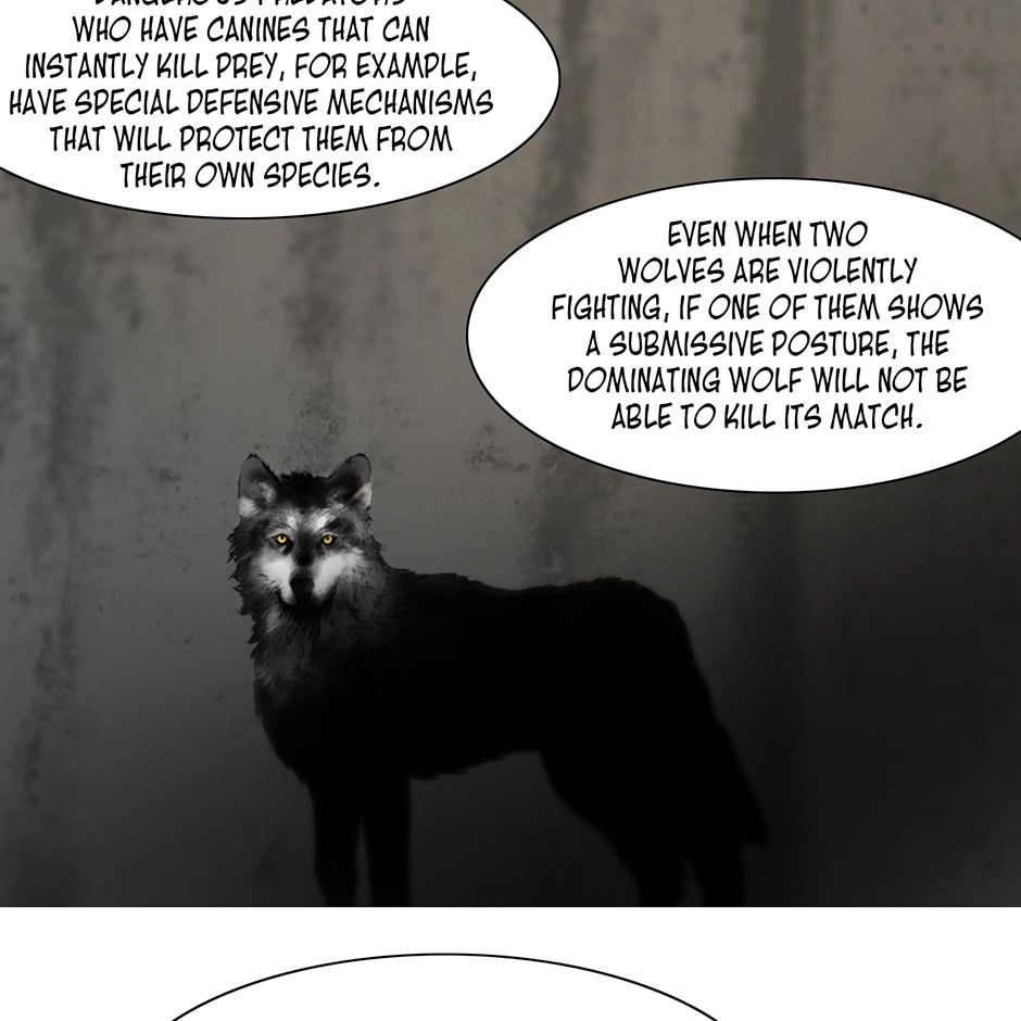 Treasure Hunter Chapter 65 page 41 - 