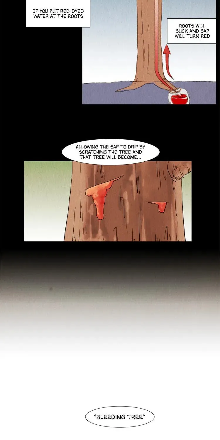 Trick Code Chapter 3 page 17 - 