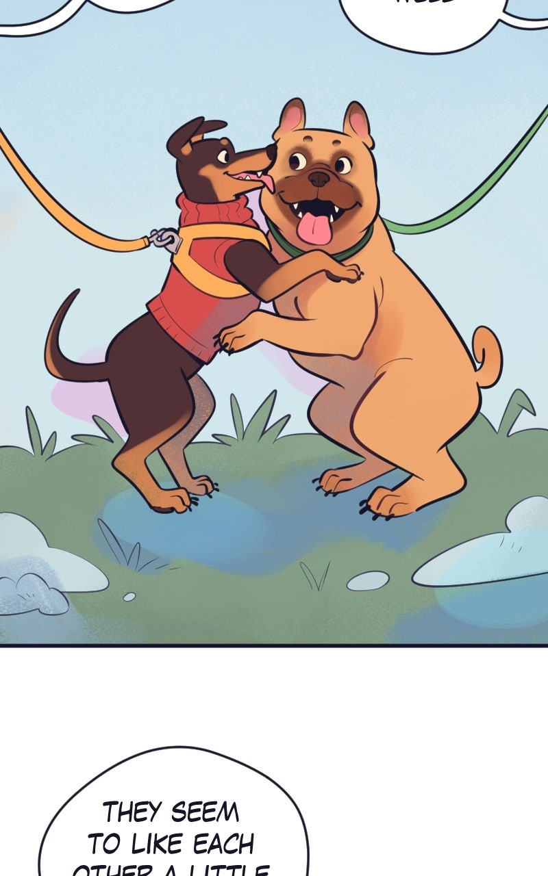 True and Me Ep. 26 - Snowball page 7 - 