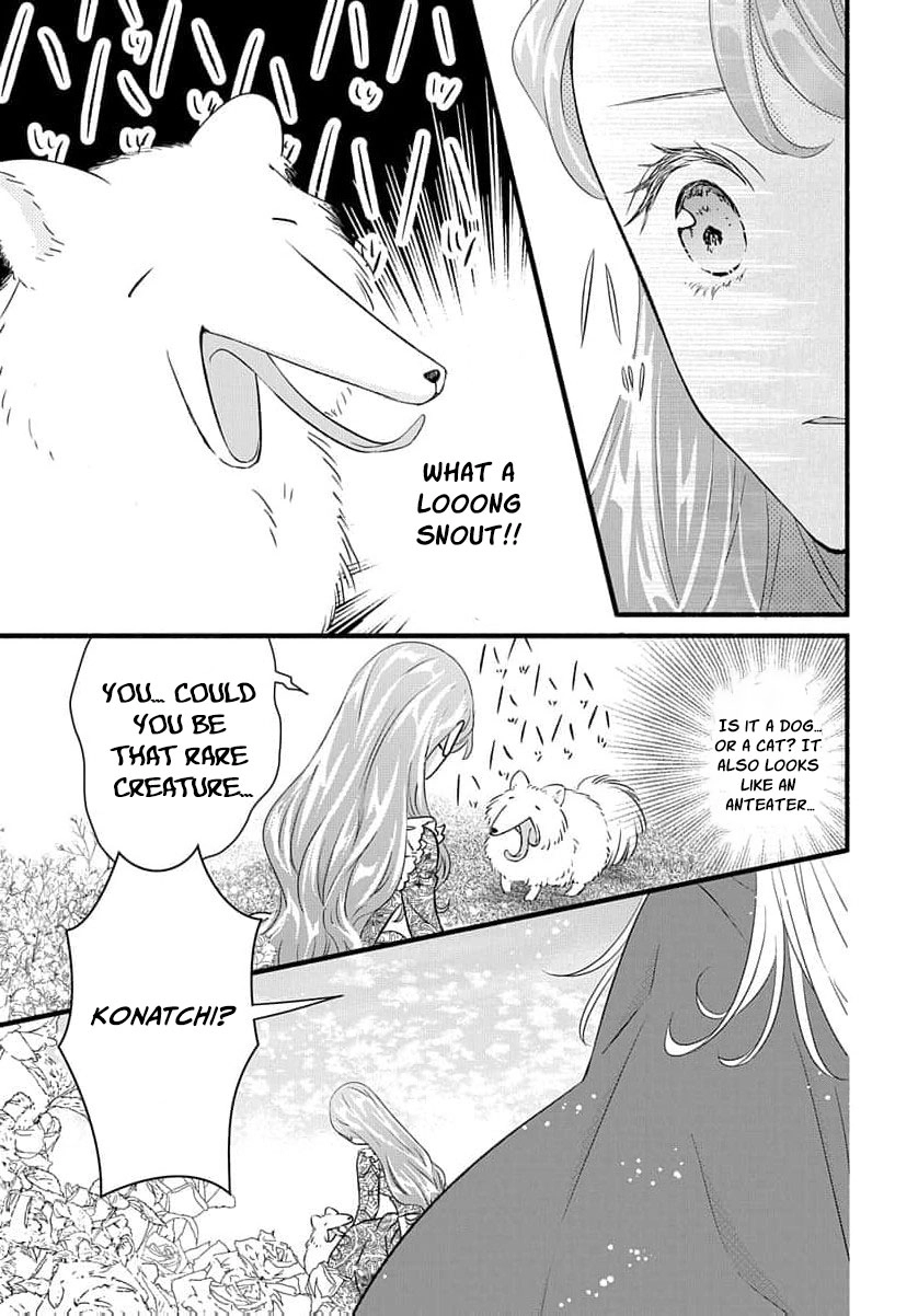 Tsuchikaburi no Elena-hime Chapter 29 page 22 - 