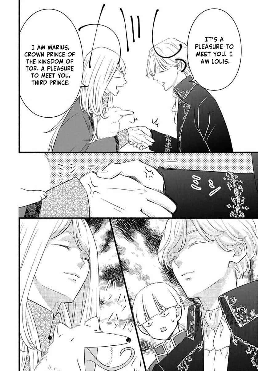 Tsuchikaburi no Elena-hime Chapter 29 page 37 - 