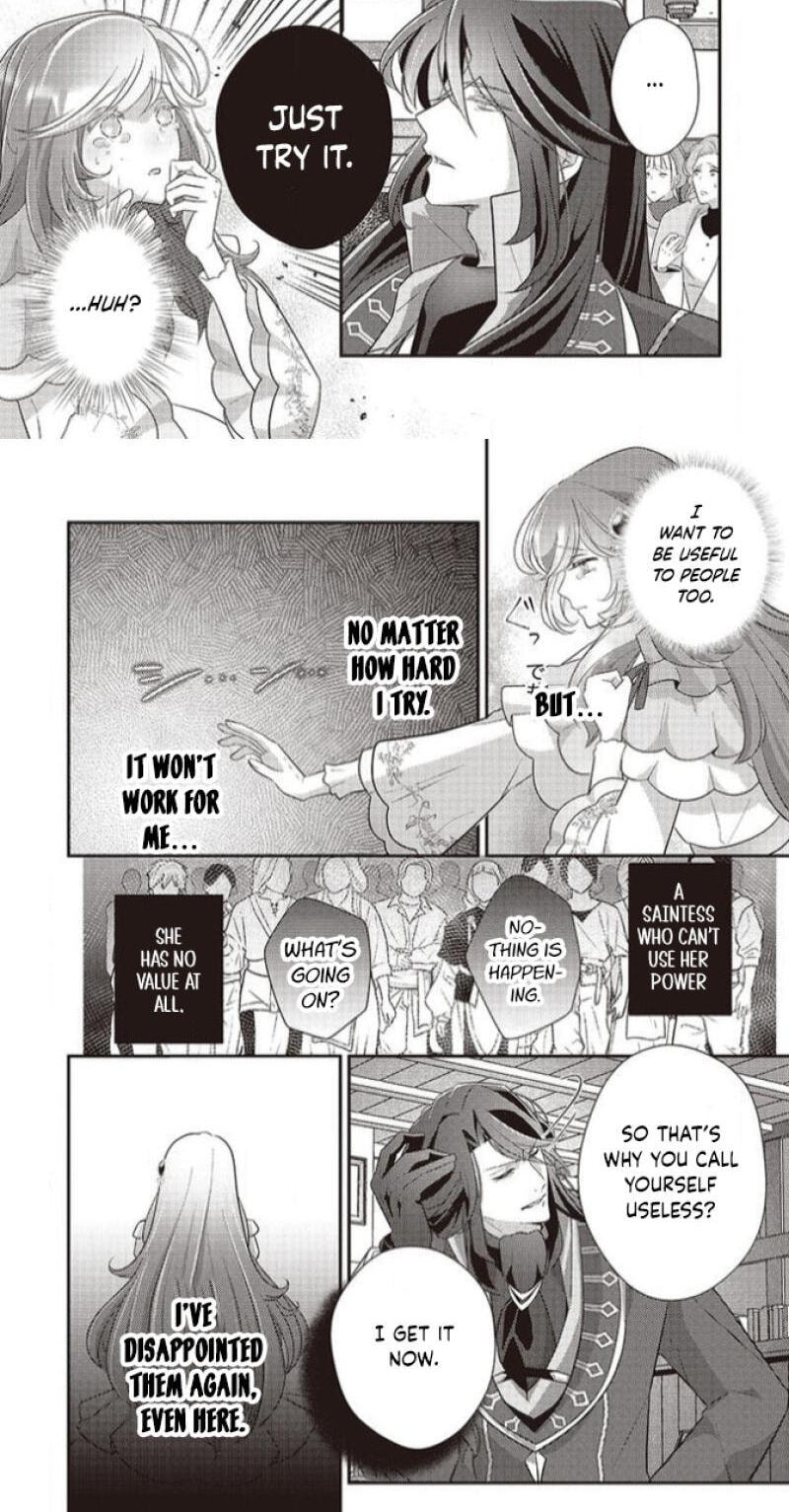 Tsuiho Sareta Kitai Hazure Seijo Desu ga, Seikon ni Yori Marei Hakushaku-sama ni Totsugu Koto ni Narimashita Chapter 4 page 17 - 