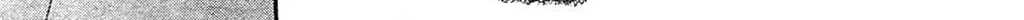 Tumbling Chapter 2 page 42 - 