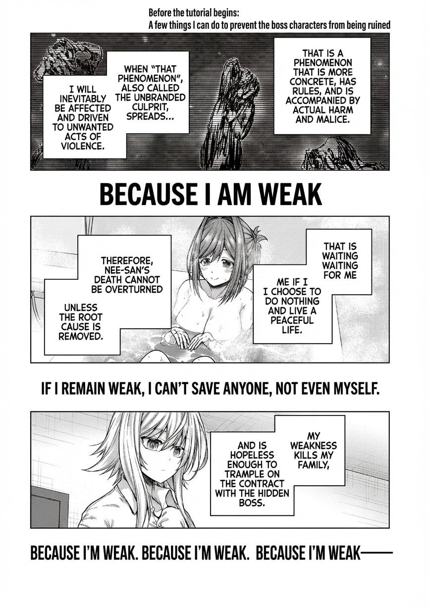 Tutorial ga Hajimaru Mae ni – Boss Chara-tachi wo Hametsu Sasenai Tame ni Ore ga Dekiru Ikutsu ka no Koto Chapter 3 page 30 - 
