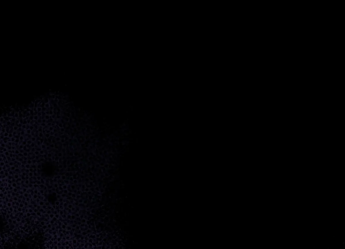 Twenty Nights Chapter 55 page 134 - 
