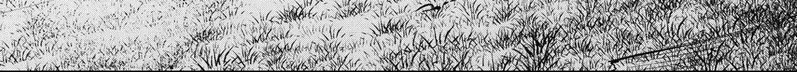 UmaYon - Mini Chapter 39 page 20 - 