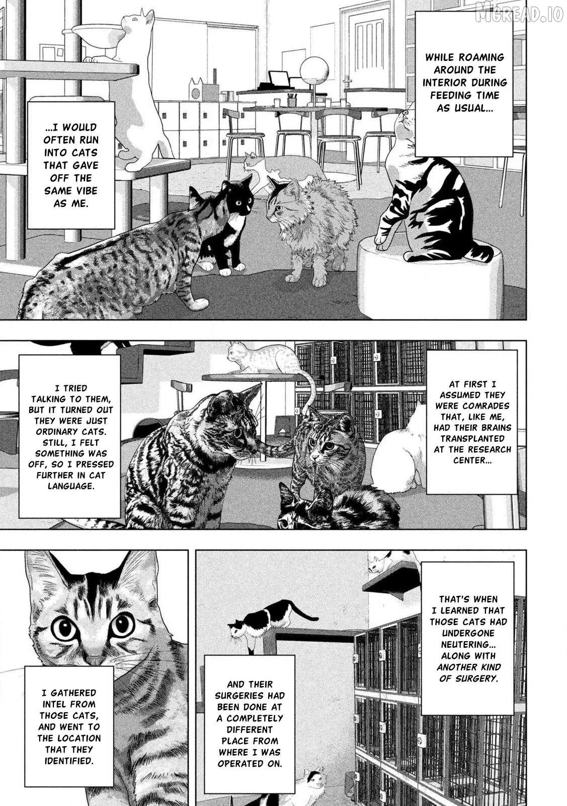 Under Ninja Chapter 162 page 15 - 