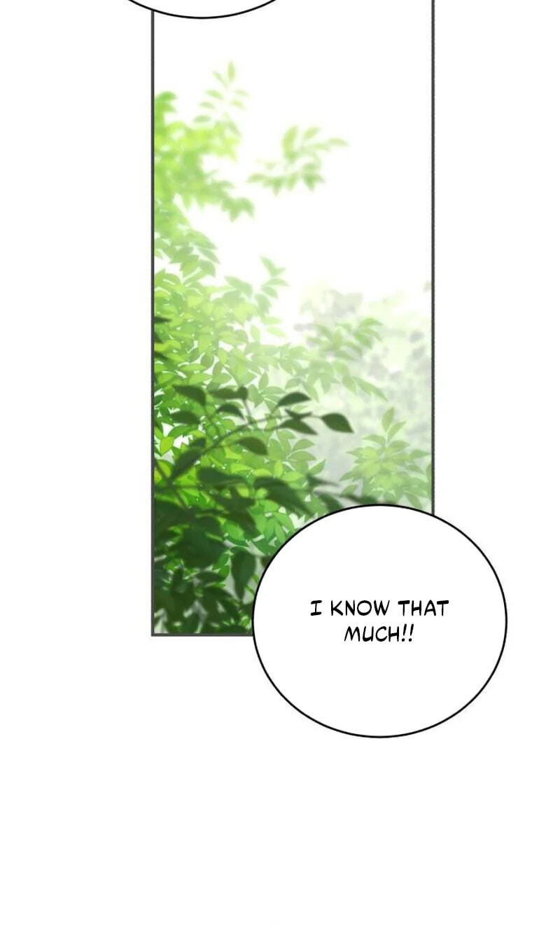 Unforeseen Engagement Chapter 47 page 25 - 