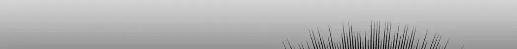 Unquenchable Thirst Chapter 39 page 56 - 