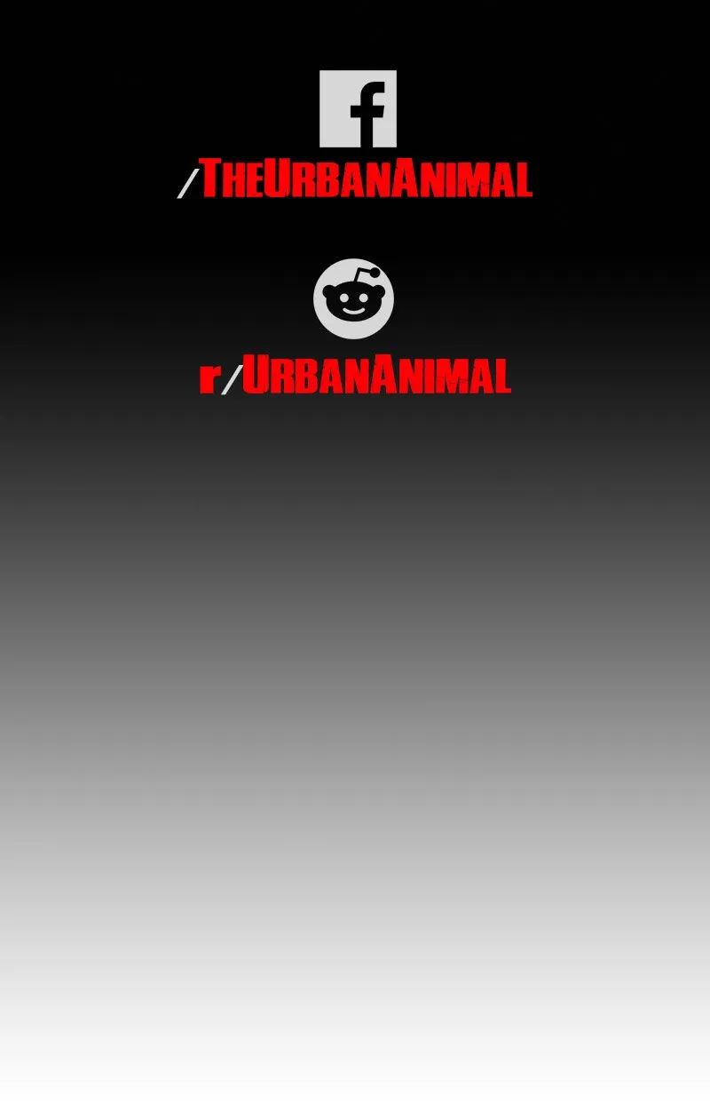 Urban Animal Chapter 129 page 61 - 