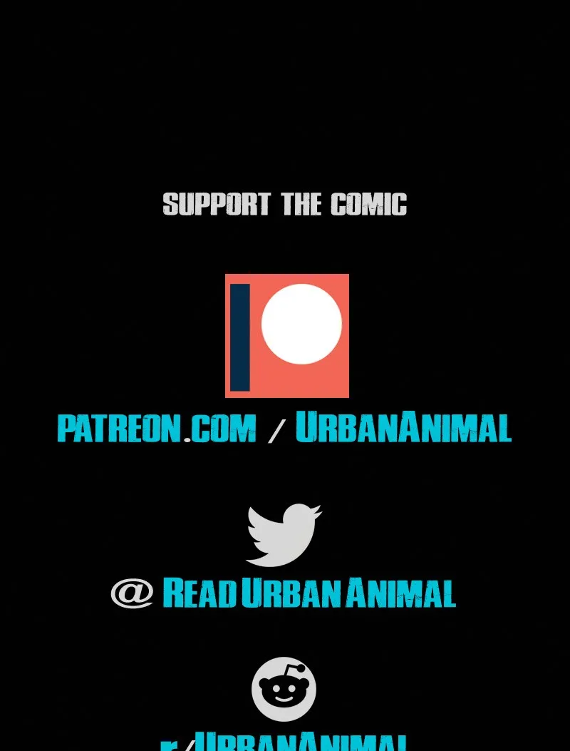 Urban Animal Chapter 134 page 62 - 