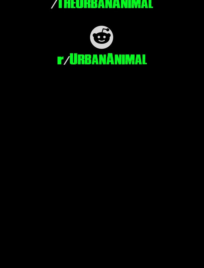 Urban Animal Chapter 135 page 59 - 