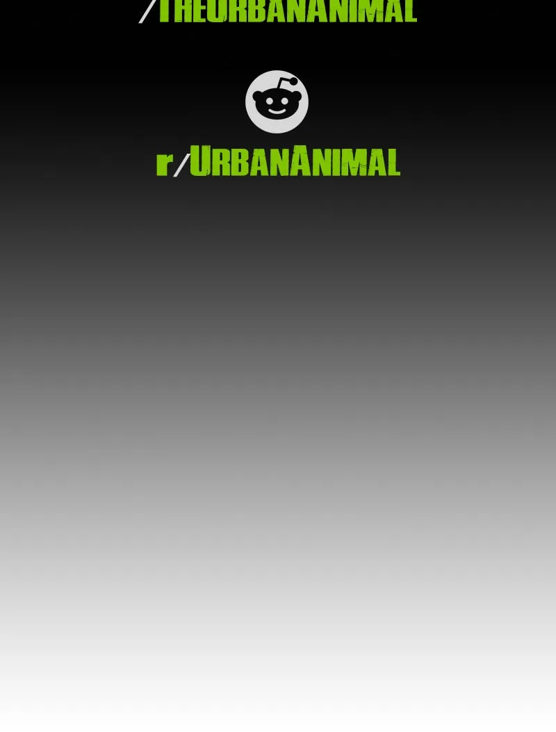 Urban Animal Chapter 136 page 63 - 