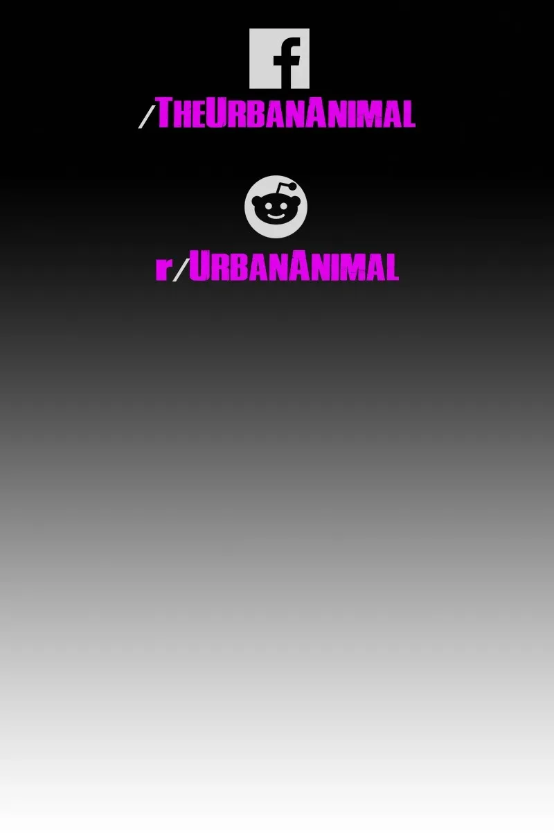 Urban Animal Chapter 139 page 57 - 