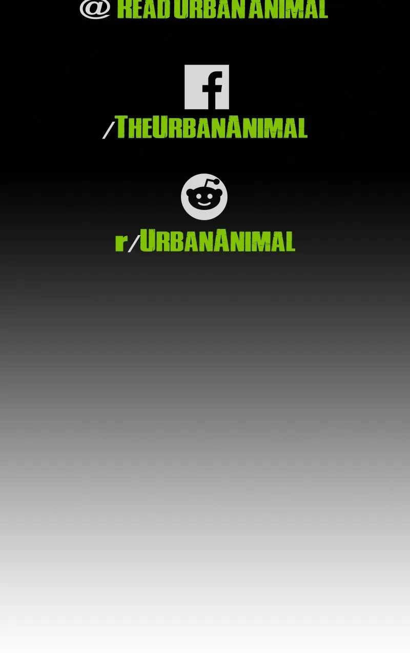 Urban Animal Chapter 141 page 58 - 
