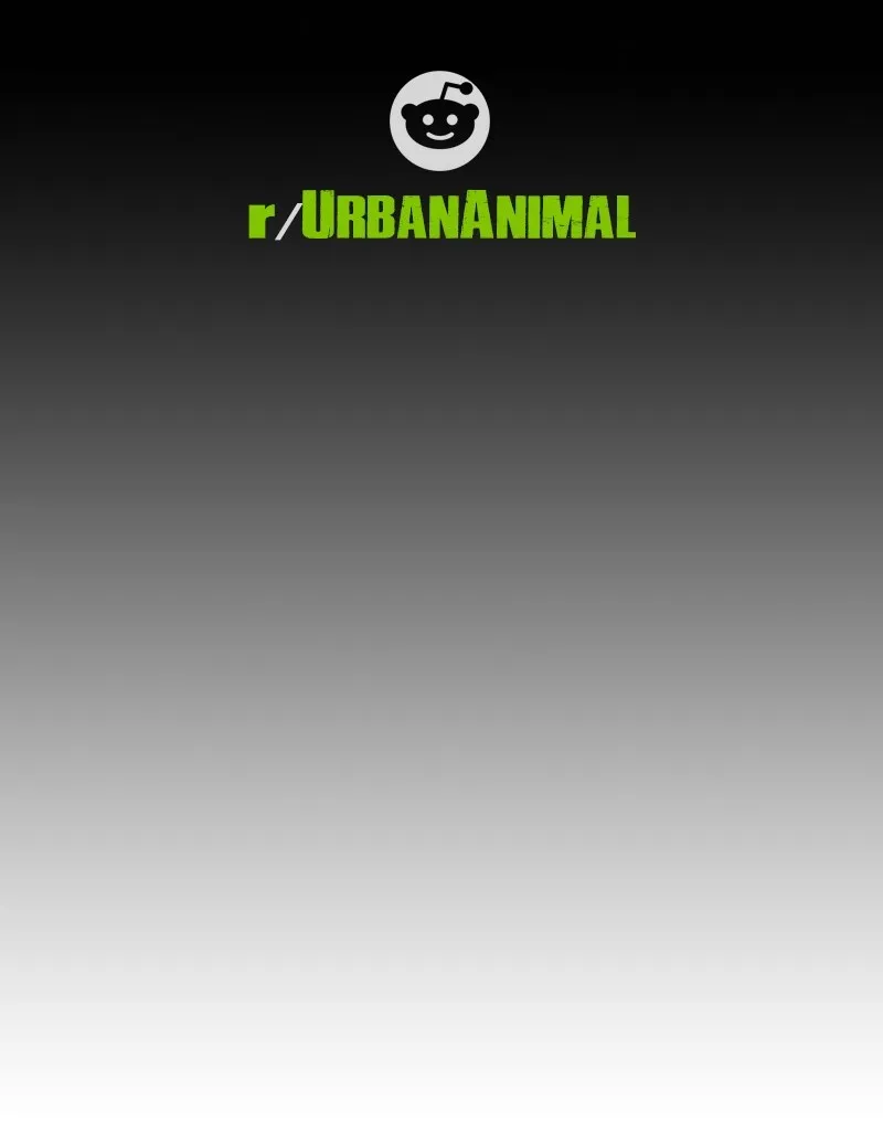 Urban Animal Chapter 142 page 57 - 