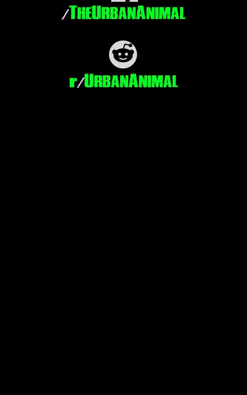 Urban Animal Chapter 143 page 48 - 