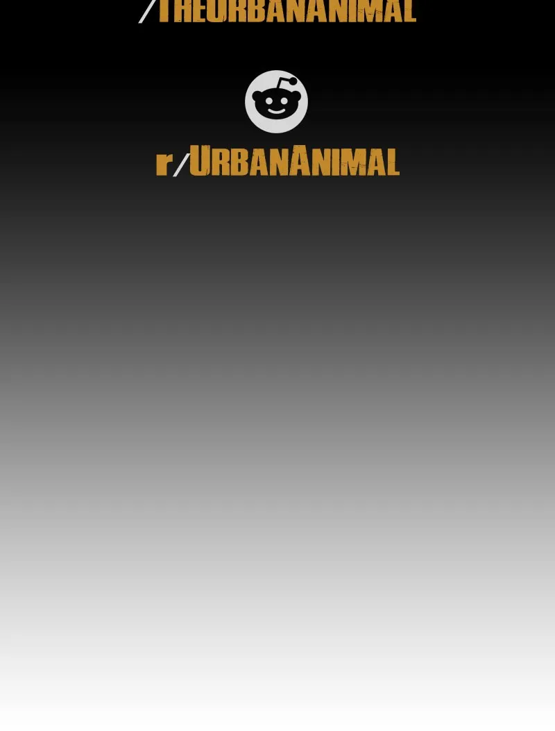 Urban Animal Chapter 148 page 57 - 
