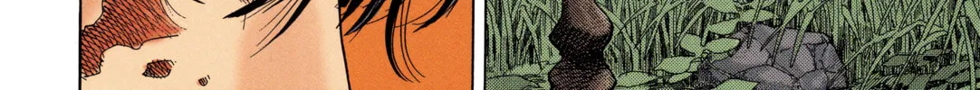 Vagabond (Colored) Chapter 1 page 28 - 