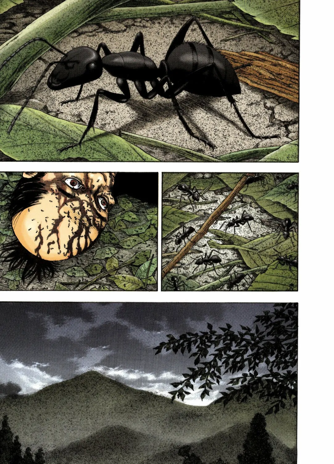 Vagabond (Colored) Chapter 14 page 1 - 