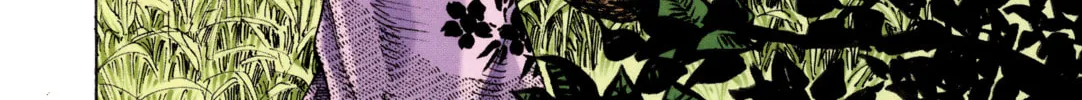 Vagabond (Colored) Chapter 8 page 32 - 