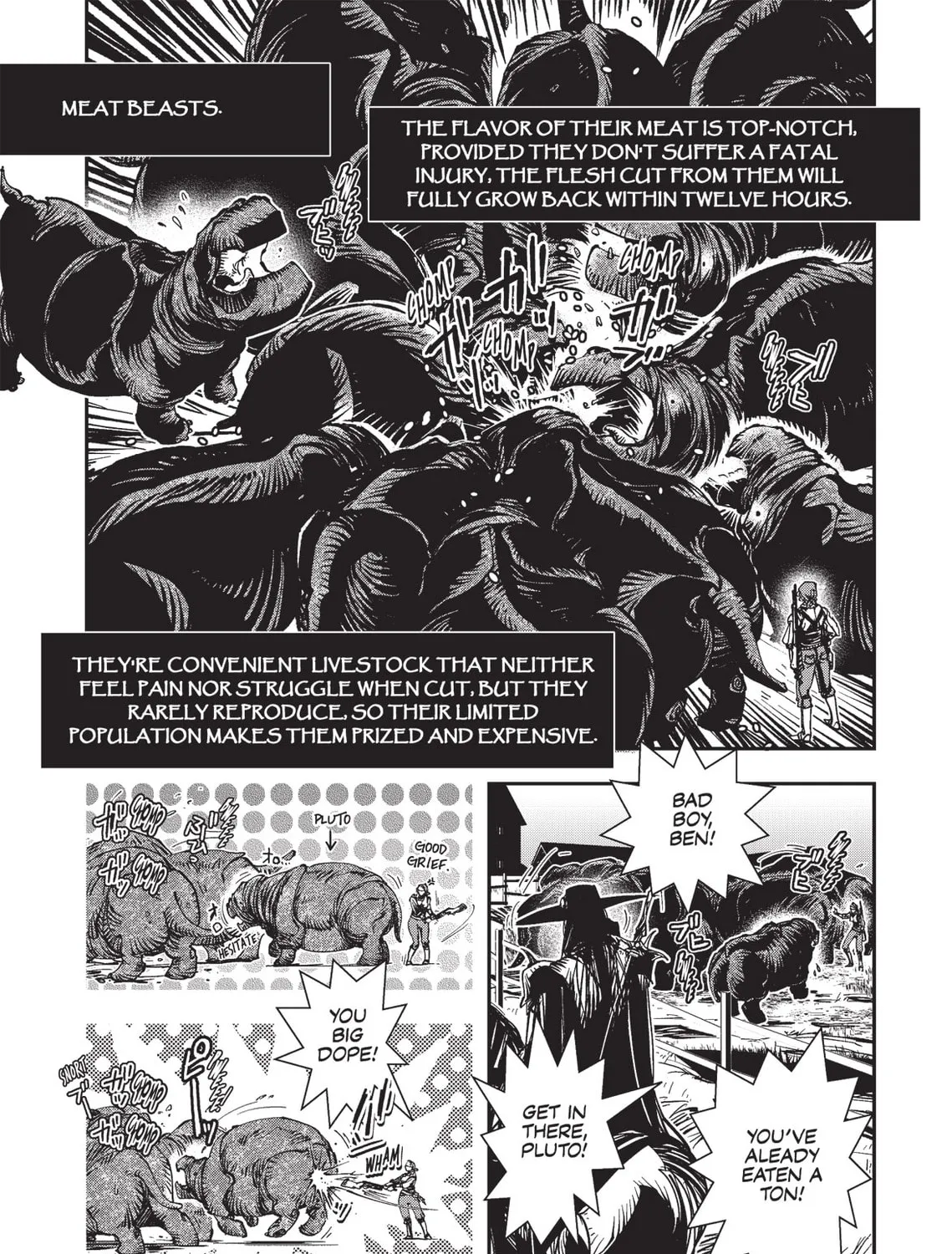 Vampire Hunter D Chapter 21 page 39 - 