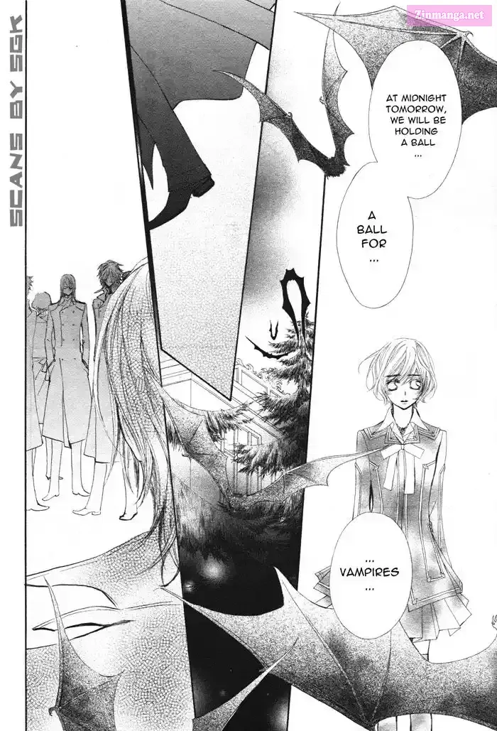 Vampire Knight: Memories Chapter 53 page 17 - 